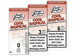 Flotter-Dampfer Liquid Cool Raspical